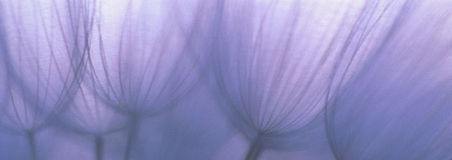 Allergy Evansville Info